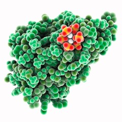 Synaptotagmin