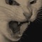 Tabasco_drip