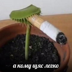 M_E