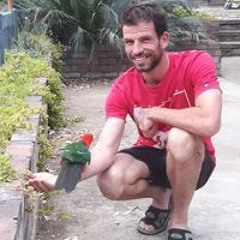 Christophe Domingues