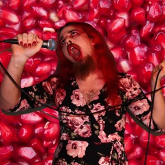 Frances And The Boof Machine