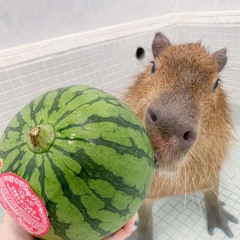bear'chik