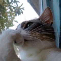 cant see my hand