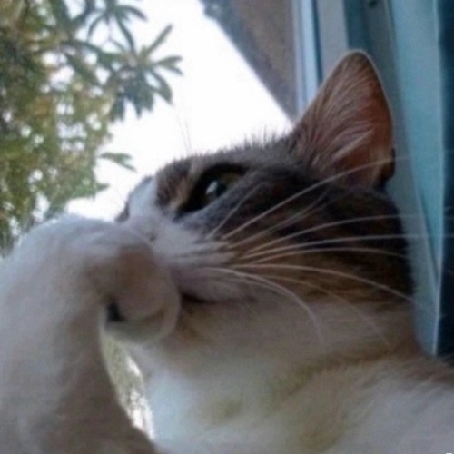 cant see my hand