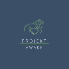 JP/ProjektAwake