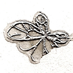 aiega