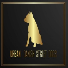 Urban Danish street Dogs