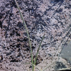 Jean-Christophe Douziech