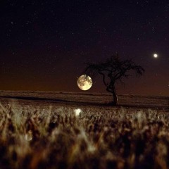 Qaid-e-Tanhai - Hum Ost