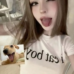 ͏͏͏ ͏͏͏