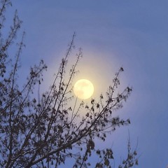 ɦ ​​​​​​​​​​ ​​​​​​​​​​ٱ ​​​​​​​​​​ ƈ ​​​​​​​​​​ ץ