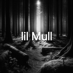 lil Mull