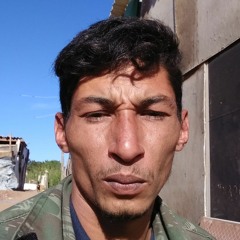 Alex Jardim