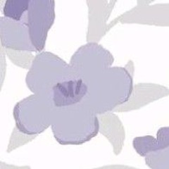 Andrekir_2428