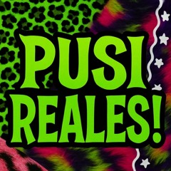 pusi reales !!