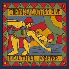 The Mostar Diving Club