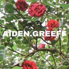 .AIDEN.GREEFF.
