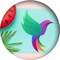 Hummingbird