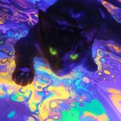 °•°•》🧿《•°•°