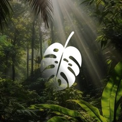 Music For Your Soul