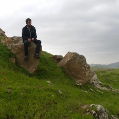 saeed dashkol