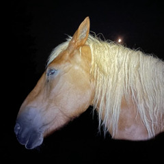 cowboy