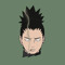 Draco(Drac)