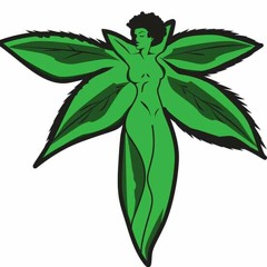 dookstar5
