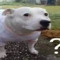 :3