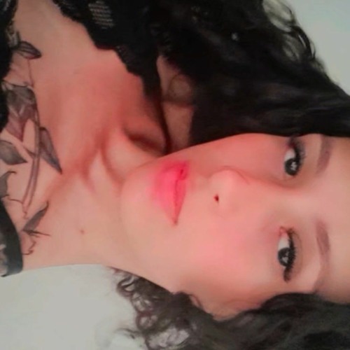 Evelyn Araújo’s avatar