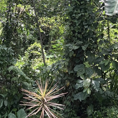 *･゜ﾟ･*:.｡..｡.'･*:.｡. .｡.:*･゜ﾟ･*