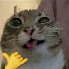 6T3N07