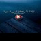 amer salim
