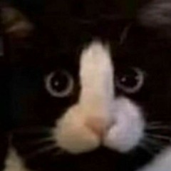 Дмитрий Михайлов