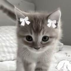 🎀Amel4ik🎀