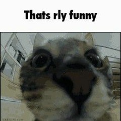 Thats rly funny