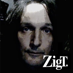 ZigT