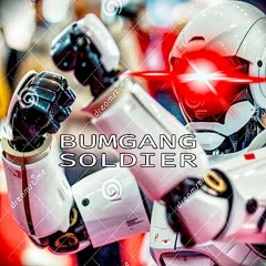 BUMGANG SOLDIER     ‮