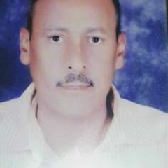 Eed Zarea