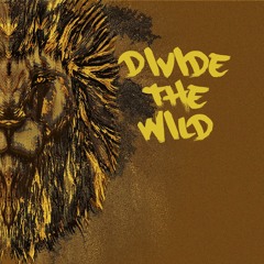 Divide The Wild