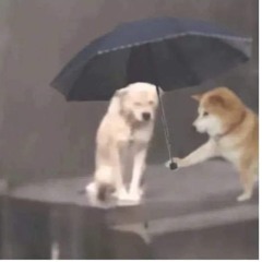 cukcho