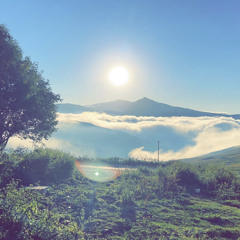 فايز