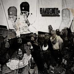 bankroll.kx