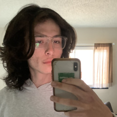 Squib