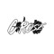 C rose_official