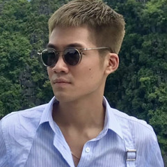 Việt Anh