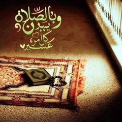 Ahmed Elkady