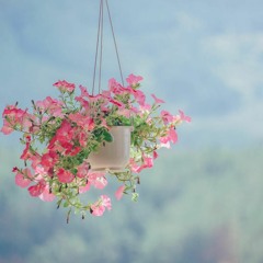 رانيا إسماعيل