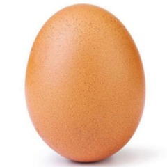 Egg