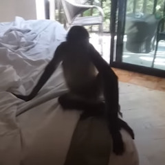 Vro Chacho